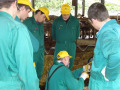 Lehrklauenpfleger demonstriert Klauenpflege an einer Kuh