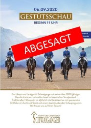 Absage Gestütsschau 2020