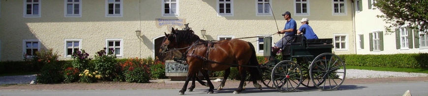 Kutsche Fahrkurs-klein