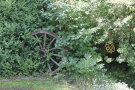 Staatsgut Kringell - Naturgarten Impressionen