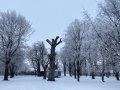 Winterbild - Insektenbaum