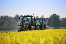 Schlepper auf blühendem Rapsfeld