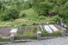 Staatsgut Kringell - Naturgarten im Frühjahr