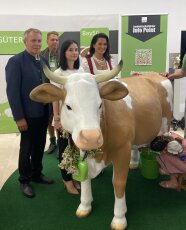 Hoffest-Stand-Vom-Futter-zur-Butter