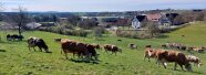 Ausbildungsstart Staatsgut Kringell