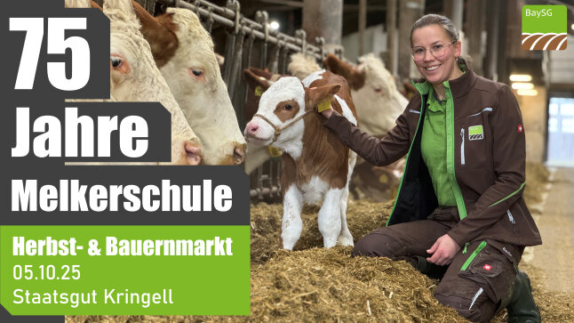 75 Jahre Melkerschule Herbst- und Bauernmarkt 05.10.25 Staatsgut Kringell Bild Frau mit Kalb