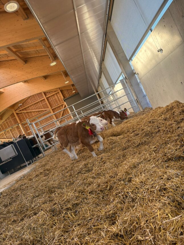 Pfarrer Keller bei Einweihung Kälberstall