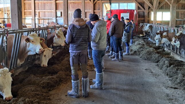 Seminarteilnehmer im Stall
