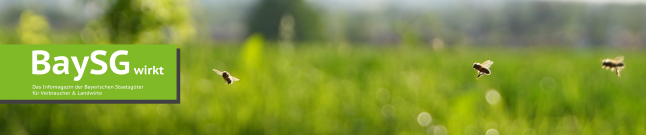 Bienen im Flug