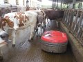 Lely Discovery Collector 