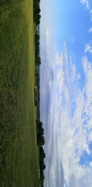 Ausblick Richtung Bienenhaus