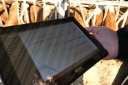 Tablet Im Stall