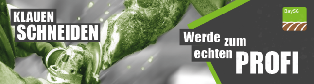 Werbebanner mit dem Text: Klauen Schneiden Werde zum echten Profi