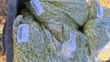Häckselgut in Tüten verpackt