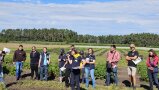 viele Personen stehen vor einem grünen Pflanzfeld im Hintergrund Wald