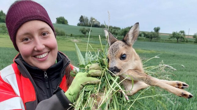 eine Frau in Leuchtjacke rettet ein Kitz mit Handschuhen und viel Gras