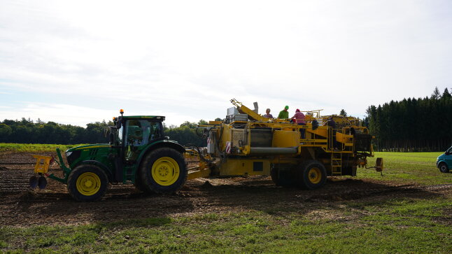 ein Traktor mit Kartoffelroder als Anhänger auf einem Kartoffelfeld im Hintergrund ein Wald