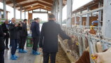 Eine Menschenmenge steht in einem Stall, ein Mann streichelt eine Kuh