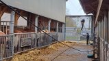 Die Installation der Luftdusche im Milchviehstall durch zwei Mitarbeiter