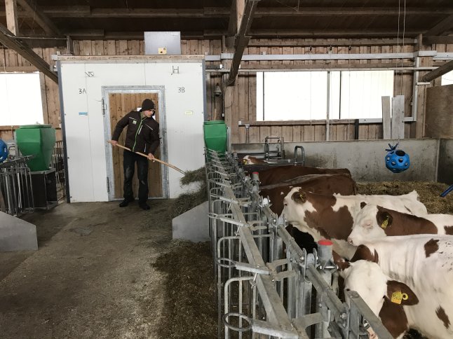 Einblicke in die praktische Arbeit im Stall