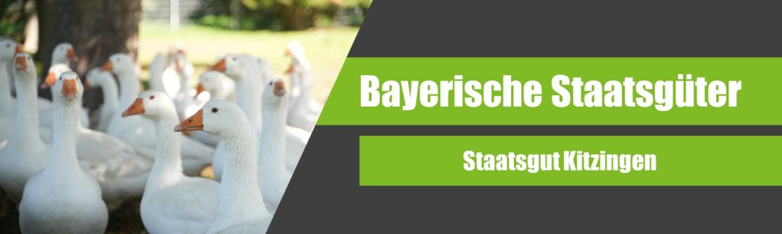 23-02-2024-Kitzingen-Headerbilder für Startseite