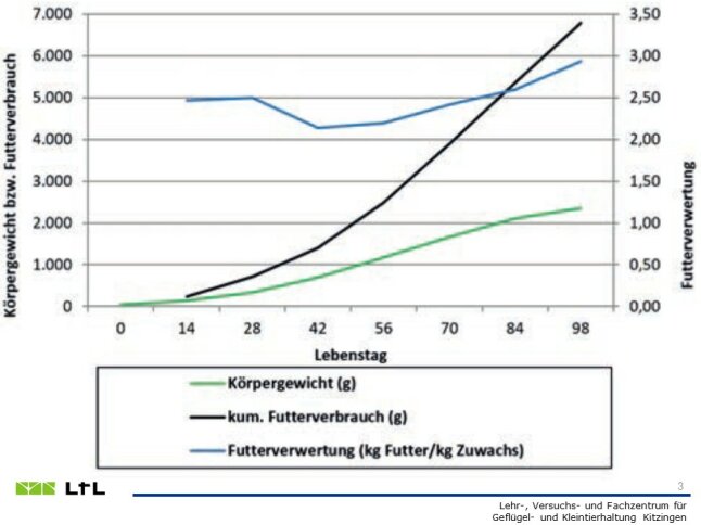 Grafik Augsburger