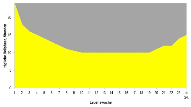 Grafik Lichtprogramm