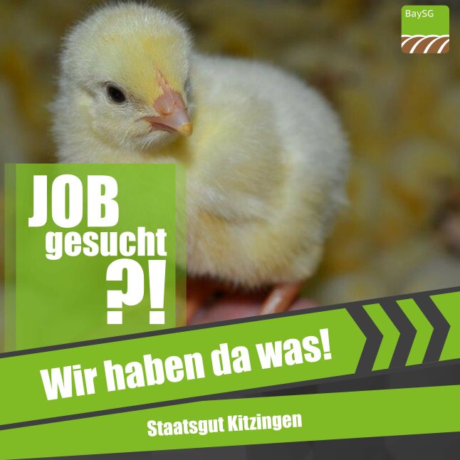 Stellenanzeige Kitzingen