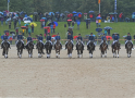 Dressurquadrille Gestütsschau 2019