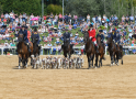 Jagdschaubild Schleppjagdverein Bayern - Gestütsschau18