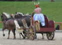 Obelix im Kampfwagen Gestütsschau 2019