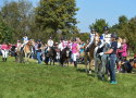 Alpencup 2017 Führzügelklasse Pony