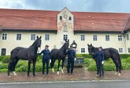 2023-05-17 Schwaiganger Warmblut Stutbuchaufnahme