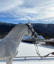 Coupe de Coeur im Schnee Januar 2021