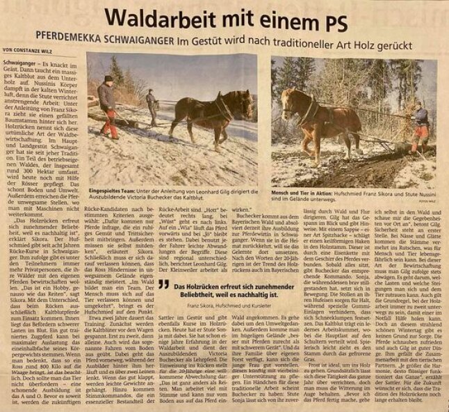 Murnauer Tagblatt - Waldarbeit 16.02.2022