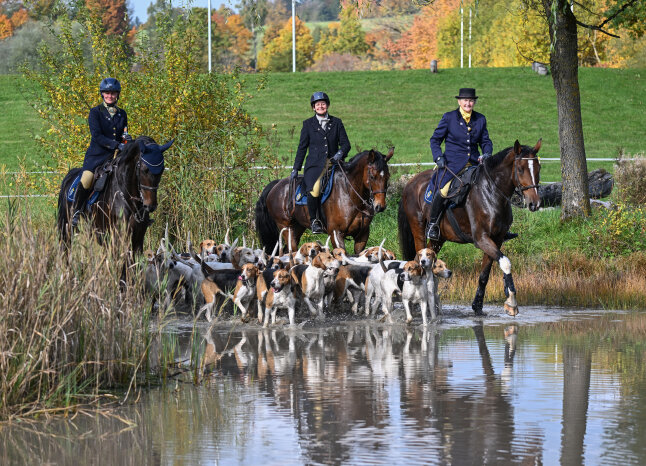 2025-27-10 Schwaiganger Herbstjagd 25/1