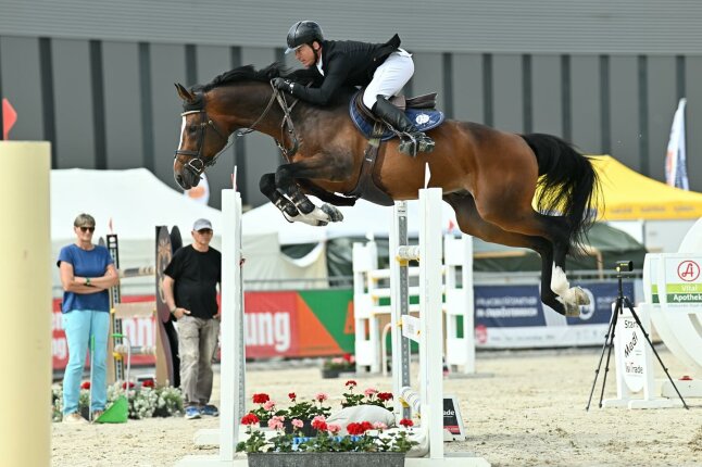 Hengst Van Cordoba im Sport