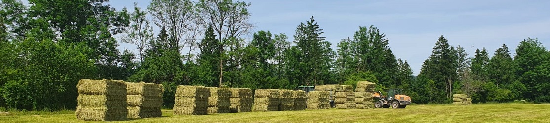 Kopfbild HLG Landwirtschaft.jpg