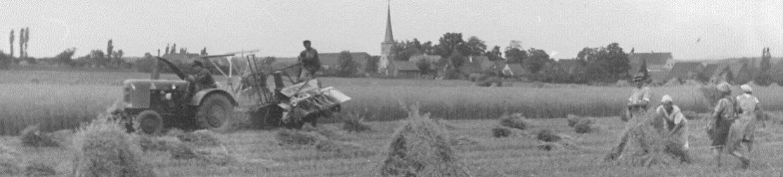 Geschichte Getreideernte in den 50er Jahren