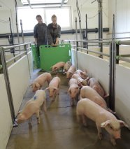 Studenten Tierhaltungslehrgang