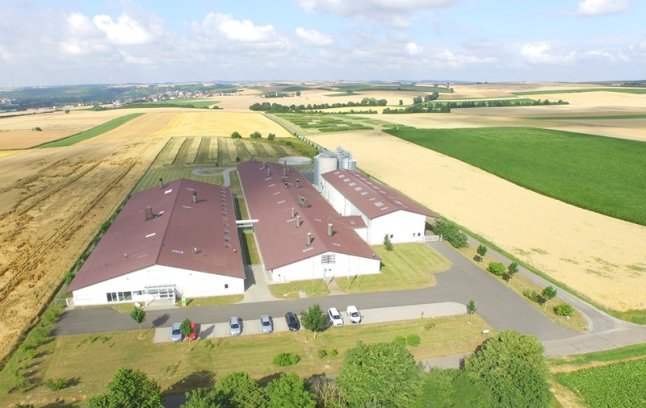 AVZ Luftaufnahme im Sommer