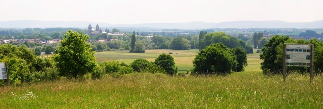 Lehrpfad Ausblick Maintal.JPG